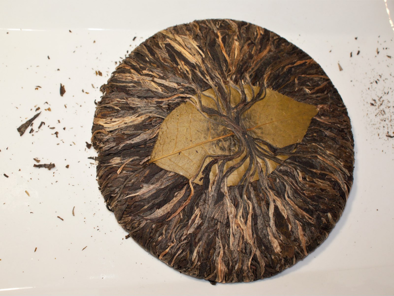 Torta redonda de té pu-erh prensado, de hojas oscuras, con una hoja grande en el centro